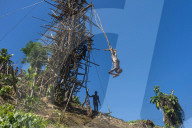 Man jumping from a bamboo tower, Pentecost land diving, Pentecost, Vanuatu