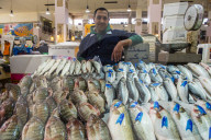 Local fisher man showing his fish, Fishing market, Kuwait City, Kuwait