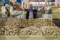Local fisher man showing his fish, Fishing market, Kuwait City, Kuwait