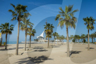 Palm fringed Marina beach, Kuwait City, Kuwait