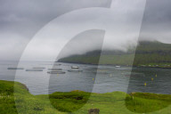 Fish farm in Estuyroy, Faroe islands, Denmark