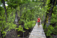 Local girl walking along a long wooden pier, Kosrae. Federated States of Micronesia