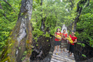 Local girls carrying bananas, Kosrae. Federated States of Micronesia
