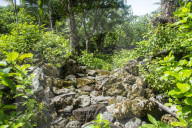 Lelu or Leluh archaeological site, Kosrae. Federated States of Micronesia