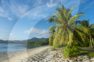 White sand beach, Kosrae. Federated States of Micronesia