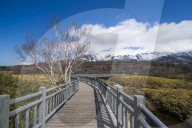 Shiretoko Goko Lakes, Unesco world heritage sight Shiretoko National Park, Hokkaido, Japan
