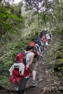 Travellers walking the Inca Trail path to the Inca ruins of Macchu Picchu, Peru