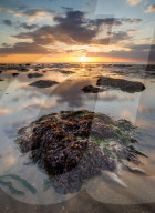 View of sandy beach and seaweed covered rock at sunset, Reculver, Kent, England