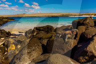 Iguanas on Espanola Island, Galapagos Islands, UNESCO World Heritage Site, Ecuador, South America