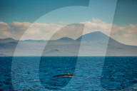 Sailing the Galapagos Islands, Ecuador, South America
