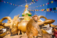 Sacred Monkey Temple