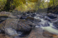 The Moness Burn flowing through the rocks within the Birks of Aberfeldy in autumn, Perthshire, Scotland, United Kingdom, Europe