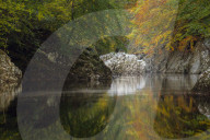 Autumn colour reflected in the River Garry, Perthshire, Scottish Highlands, Scotland, United Kingdom, Europe
