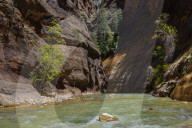 Walking in the Virgin Narrows in Zion National Park, Utah, United States of America, North America