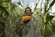 A boy holds up a cob of corn, among the corn plants in Bhutan
