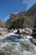 Fast flowing melt water near Thangthanka in Bhutan