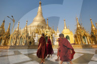 Monks walk around Shwedagon Pagoda in Myanmar
