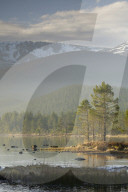 Sunrise over the Cairngorm Mountains and Loch Morlich Scotland