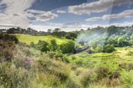 A steam locomotive at Darnholme on the North Yorkshire Railway line travelling from Whitby to Pickering.