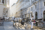 Horse drawn carriage (Fiaker) and driver, Hofburg, Michaelerplatz,Vienna, Austria, Europe.