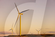 Wind Turbines at sunset, Whitelee Wind Farm, Scotland, United Kingdom, Europe.