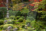 Zen garden in autumn, Sanzen-in temple, Kyoto