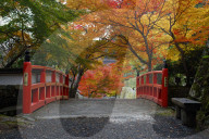 Brdige with autumn colours, Ohara valley, Kyoto