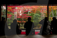 Admiring autumn colours in Daiho-in temple, Kyoto