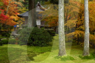 Autumn colours in Sanzen-in temple moss garden, Ohara valley, Kyoto