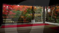 Autumn colours in Daiho-in temple, Kyoto