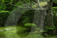 Moss garden, Keishun-in temple, Kyoto