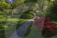 Mount Usher Gardens, County Wicklow, Ireland