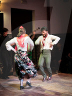 Flamenco dancers and musicians, La Casa del Flamenco, Seville (Sevilla), Andalucia, Spain