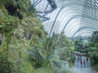Indoor rainforest garden, Gardens by the Bay, Singapore, Asia