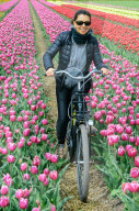 Young woman biking next to beautiful tulip fields near Lisse, Netherlands