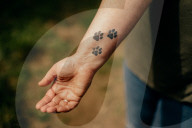 ‘He grabbed the lead and said: give me the dog’: can pet detectives stop the rise in animal theft? Dogs are more valuable than ever – which is why so many are being snatched. But some owners and pet detectives are fighting back.