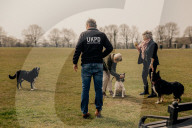 ‘He grabbed the lead and said: give me the dog’: can pet detectives stop the rise in animal theft? Dogs are more valuable than ever – which is why so many are being snatched. But some owners and pet detectives are fighting back.