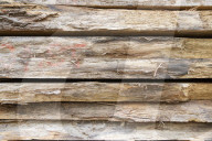 NEWS - Holzmangel führt zu Lieferengpässen und hohen Preisen