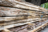 NEWS - Holzmangel führt zu Lieferengpässen und hohen Preisen