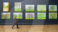 David Hockney: The Arrival of Spring, Normandy, 2020 at the Royal Academy of Arts as it re-opens to the public.