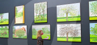 David Hockney: The Arrival of Spring, Normandy, 2020 at the Royal Academy of Arts as it re-opens to the public.