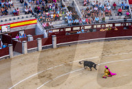 Bullfighting, Novillada Picada on the Bullring, Plaza de Toros de Las Ventas, Madrid, Spain, Europe