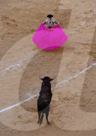 Bullfighting, Novillada Picada on the Bullring, Plaza de Toros de Las Ventas, Madrid, Spain, Europe