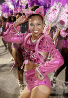Brazil, State of Rio de Janeiro, City of Rio de Janeiro, Samba Dancer in the Carnival Parade.