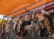 Witches Market, La Paz, Bolivia