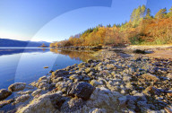 An autumn view on a calm, sunny morning along the banks of Loch Sunart in the Ardnamurchan Peninsula, the Scottish Highlands