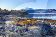 Winter view on a frosty, sunny morning along the banks of Loch Sunart in the Ardnamurchan Peninsula, the Scottish Highlands