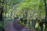 A quiet tree lined lane in the Duddon Valley, Lake District National Park, Cumbria, England, United Kingdom, Europe