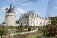 Summer flowers in the park of Chenonceau castle. Chenonceaux, Indre-et-Loire, France.