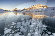 Ice bubbles at sunrise. Bianco Lake, Bernina Pass, Engadin, Switzerland.